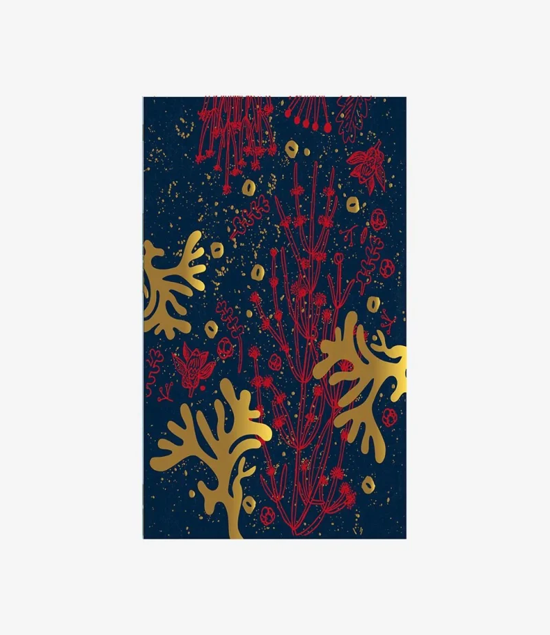 Noème - Khalil Illustration