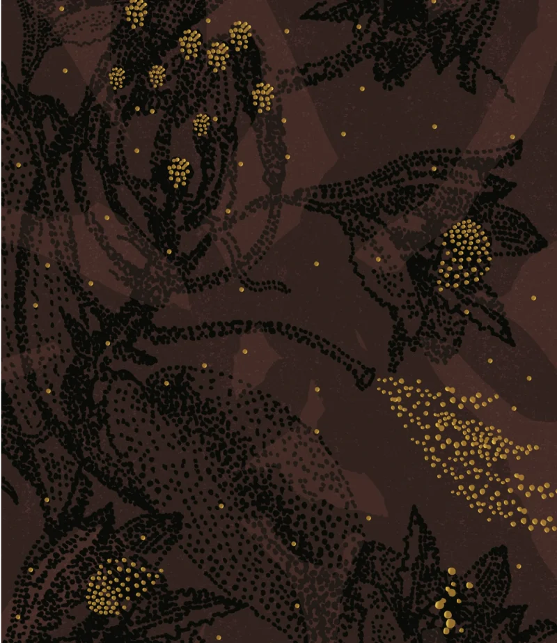 Noème - Vanille de Sambava Illustration